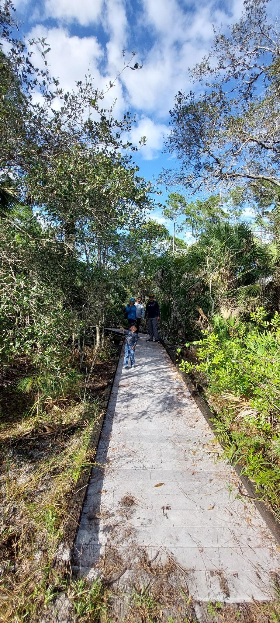 People walking on a concrete boardwalk through dense green foliage under blue sky.