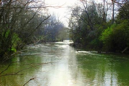 A wide, green river flows between wooded banks under bright light.