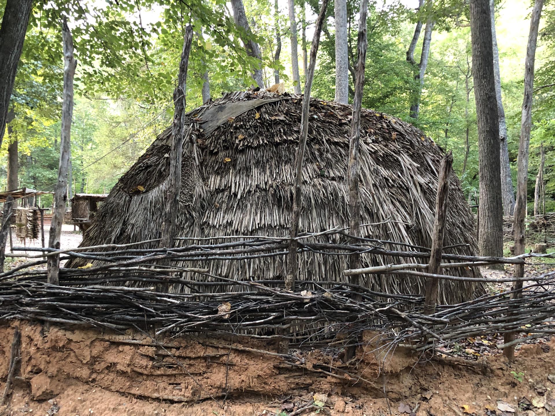 Dome-shaped hut made of thatch and wood in a forest clearing.
