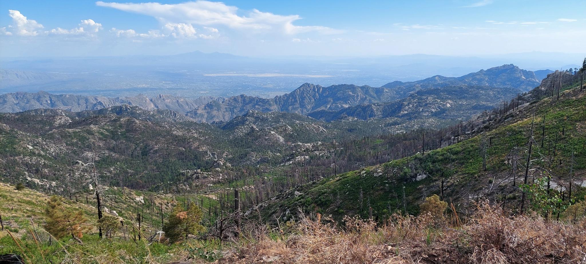 Expansive mountain landscape with green and burnt trees under a partly cloudy sky.