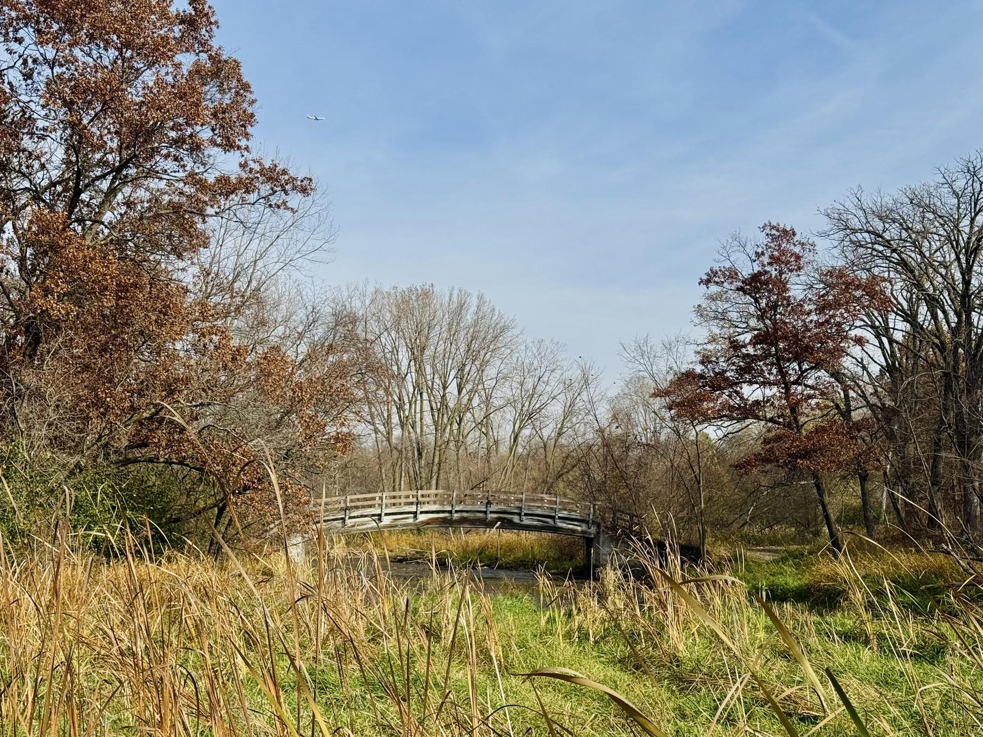 A wooden bridge spans a waterway, surrounded by tall grass and autumn trees.