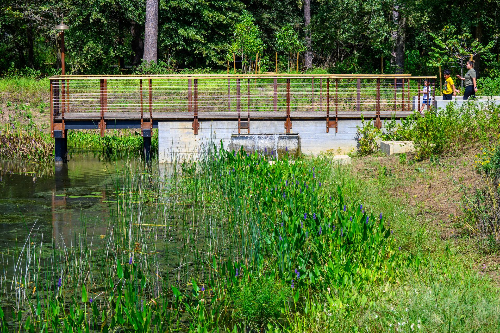People walk on a modern bridge over a lush green pond with forest background.