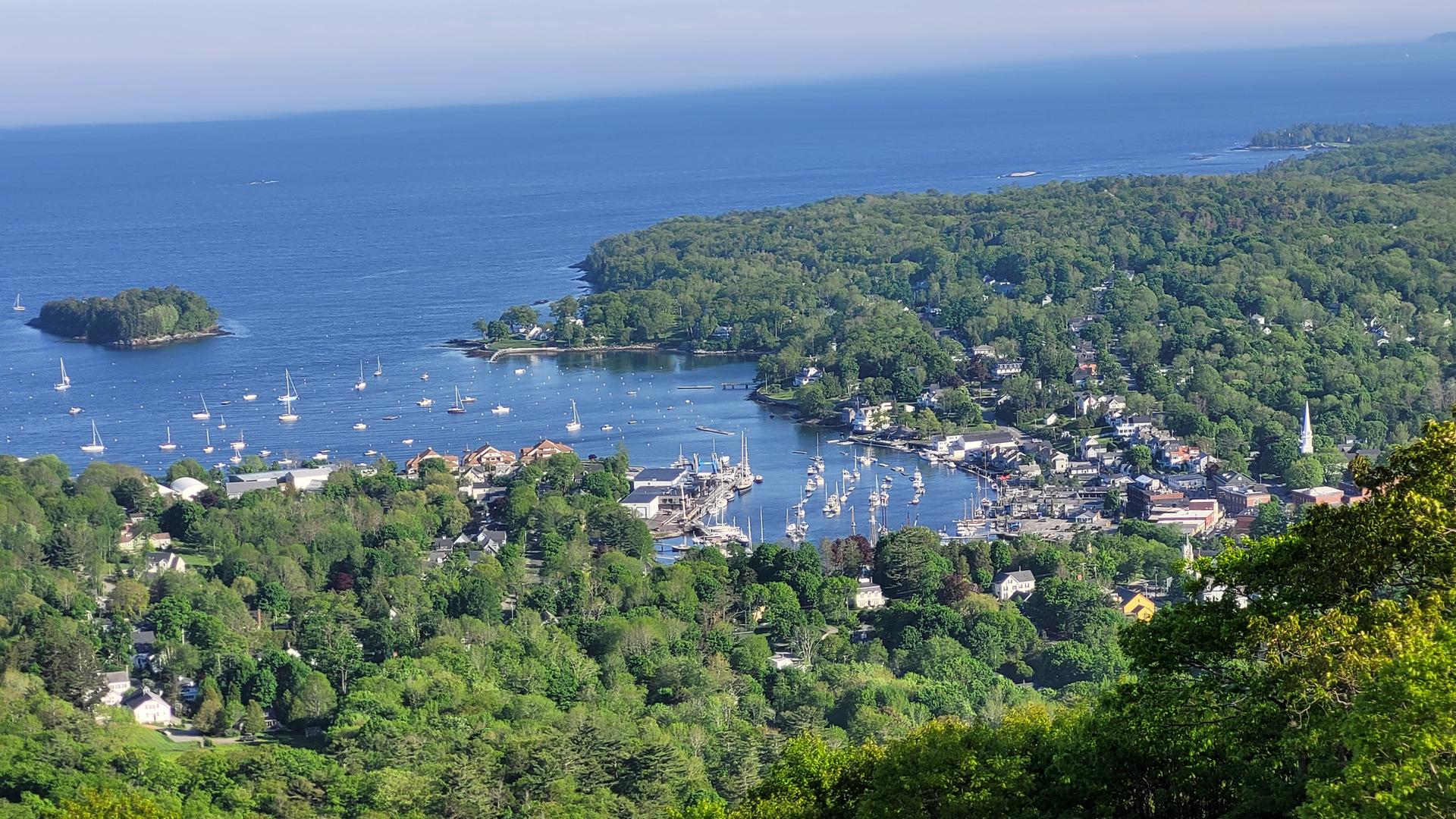 Aerial view of a bustling harbor town nestled in green forests.