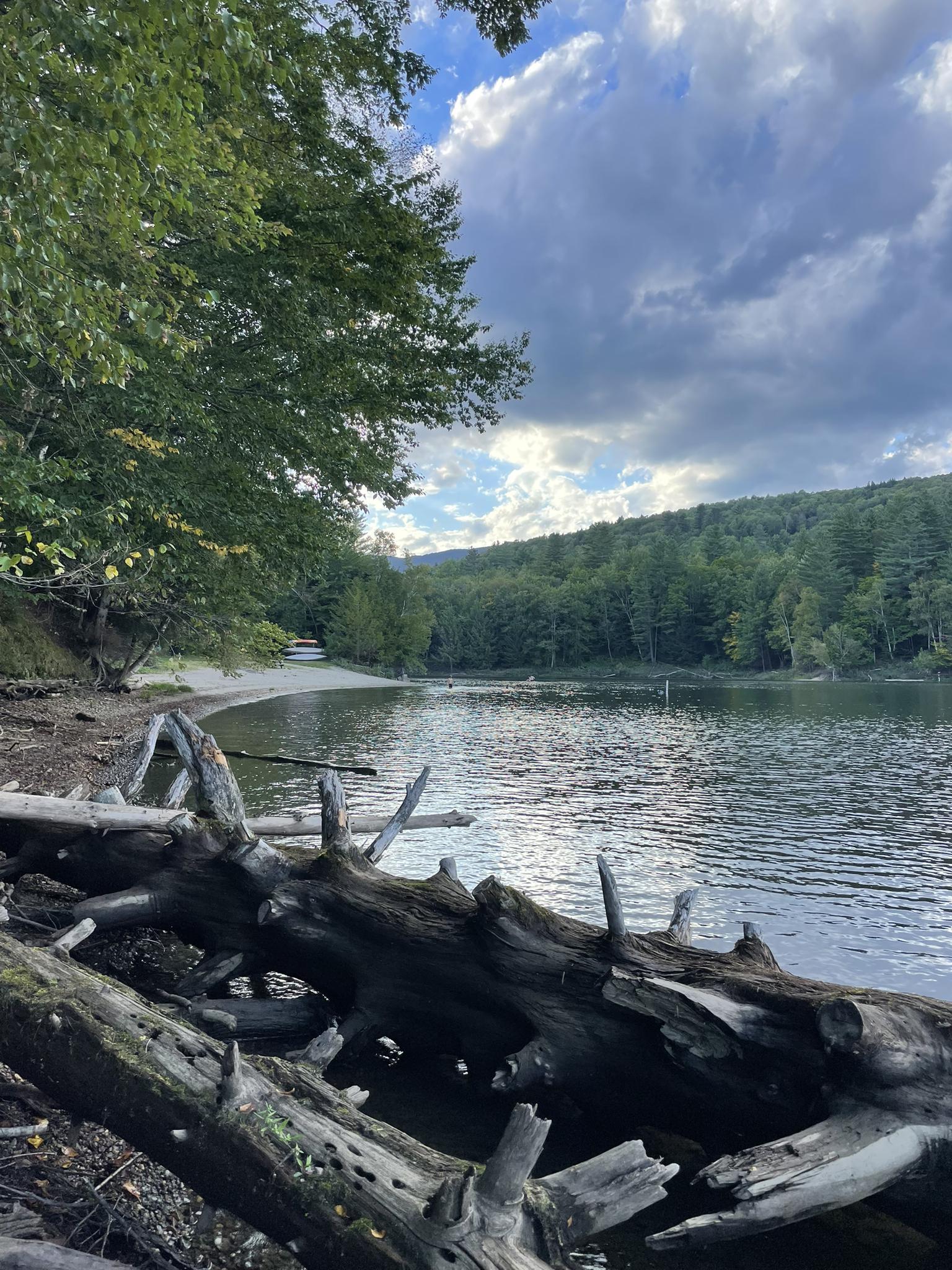 Large driftwood logs on a lake shore, forested hills under a cloudy sky.
