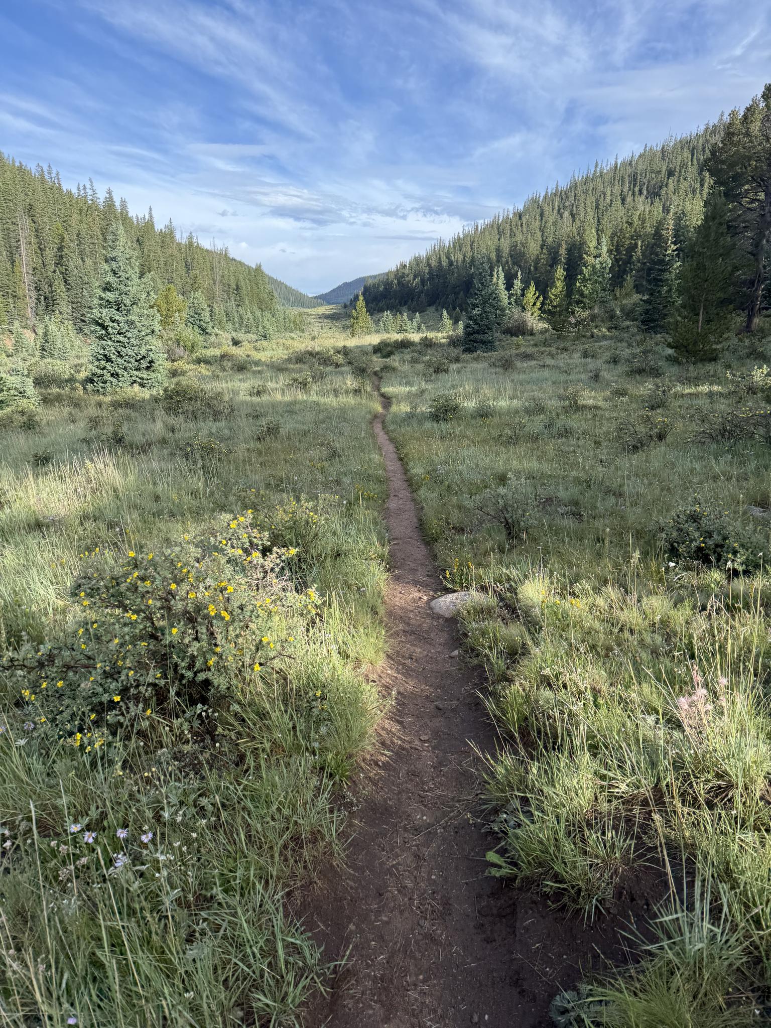 A narrow dirt trail through a lush green valley, flanked by forested hills.