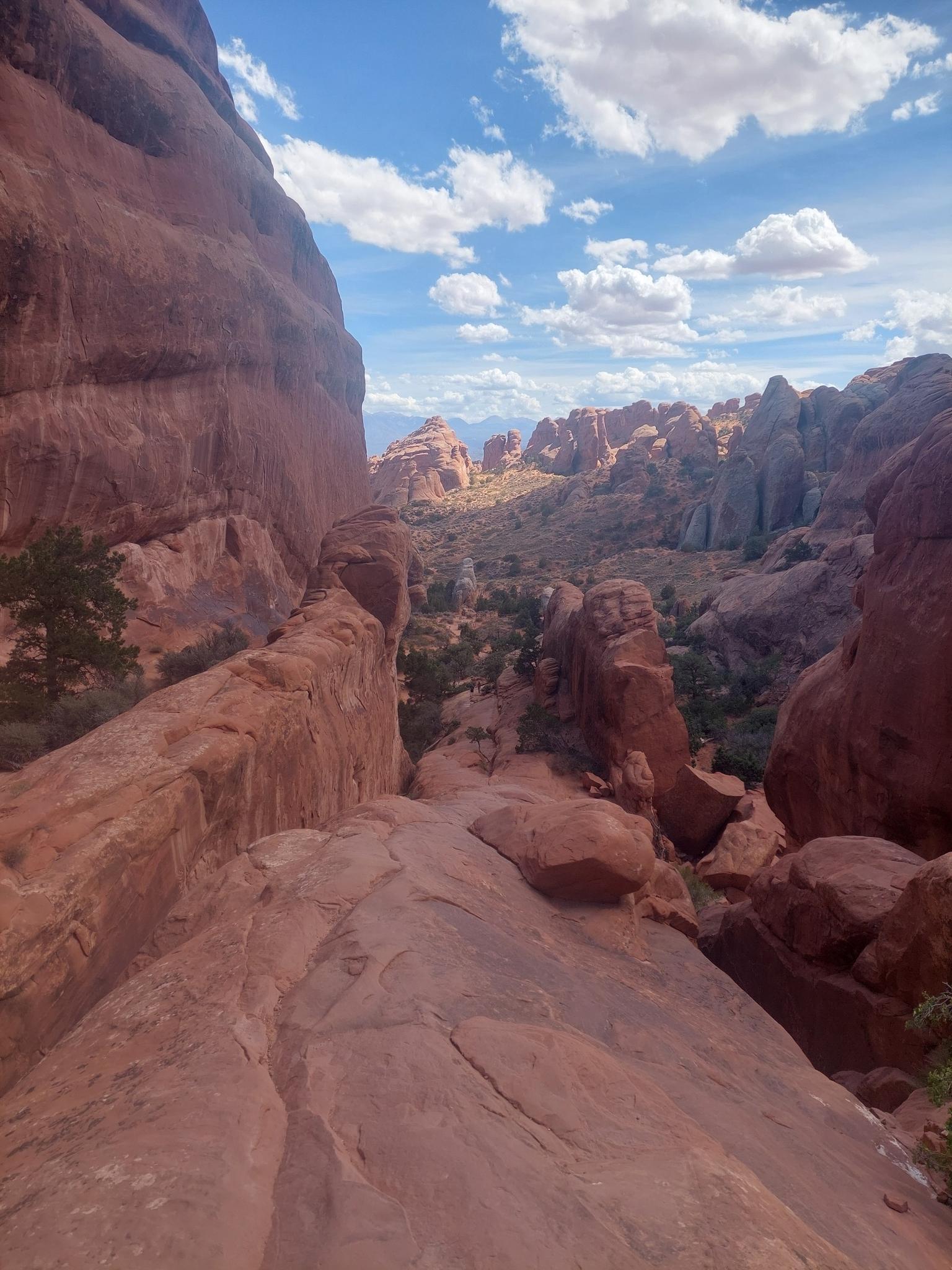 Narrow red rock canyon with distant formations under a bright sky.