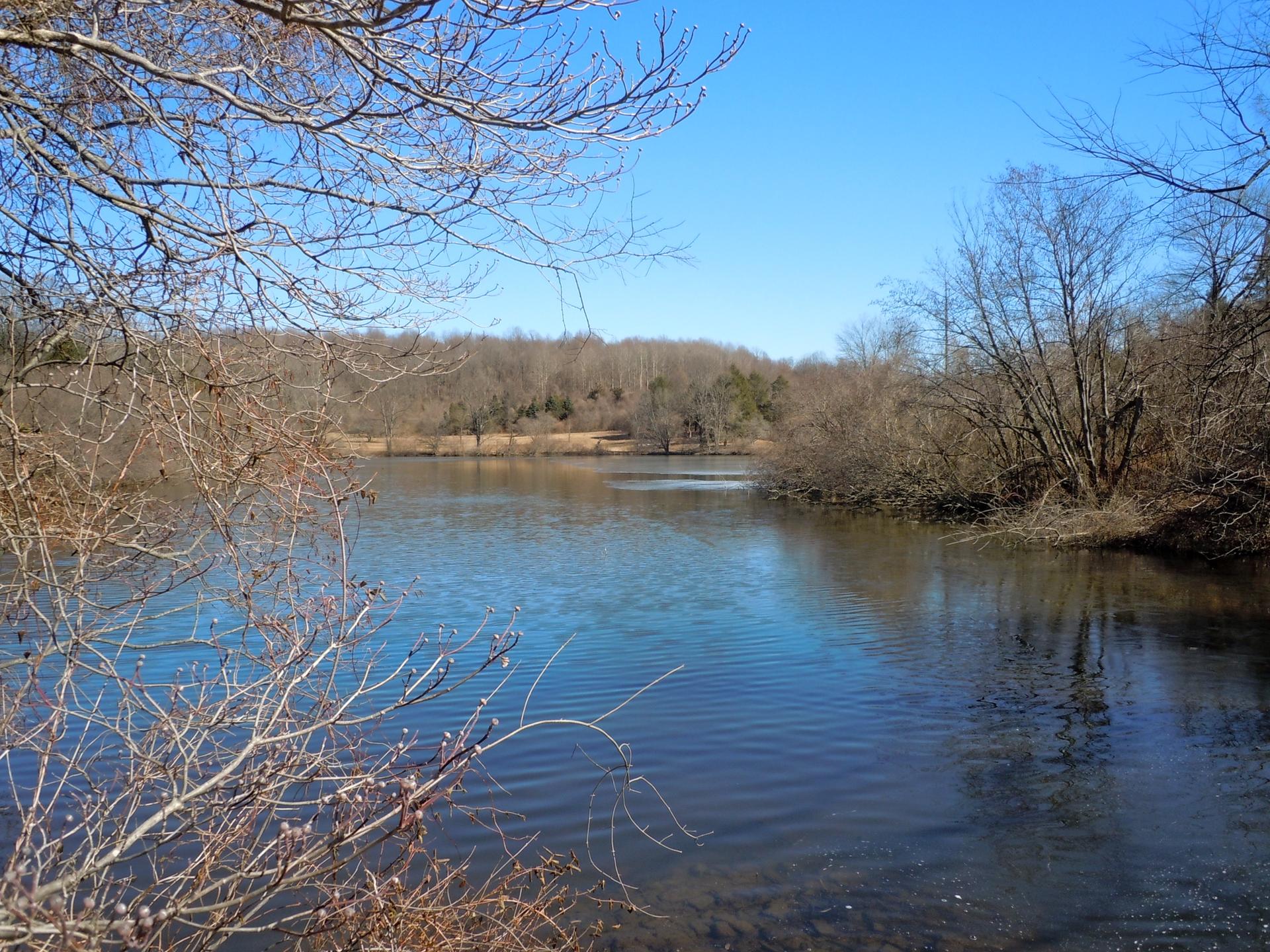 A calm lake surrounded by bare trees under a clear blue sky.
