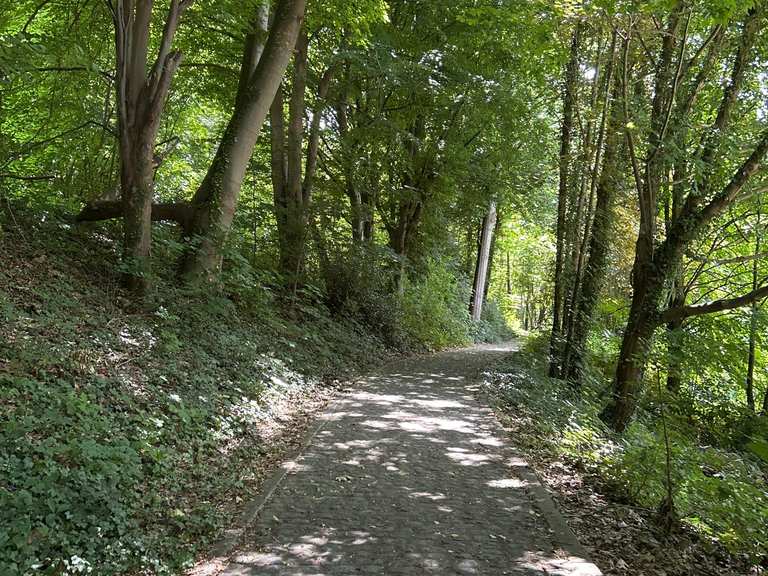 wundersch-ner-naturpfad-wanderungen-und-rundwege-komoot