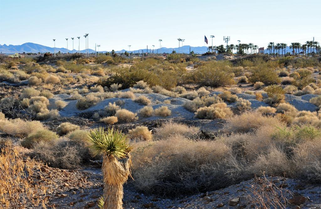 Arid desert landscape with scrub brush, mountains, and distant structures.