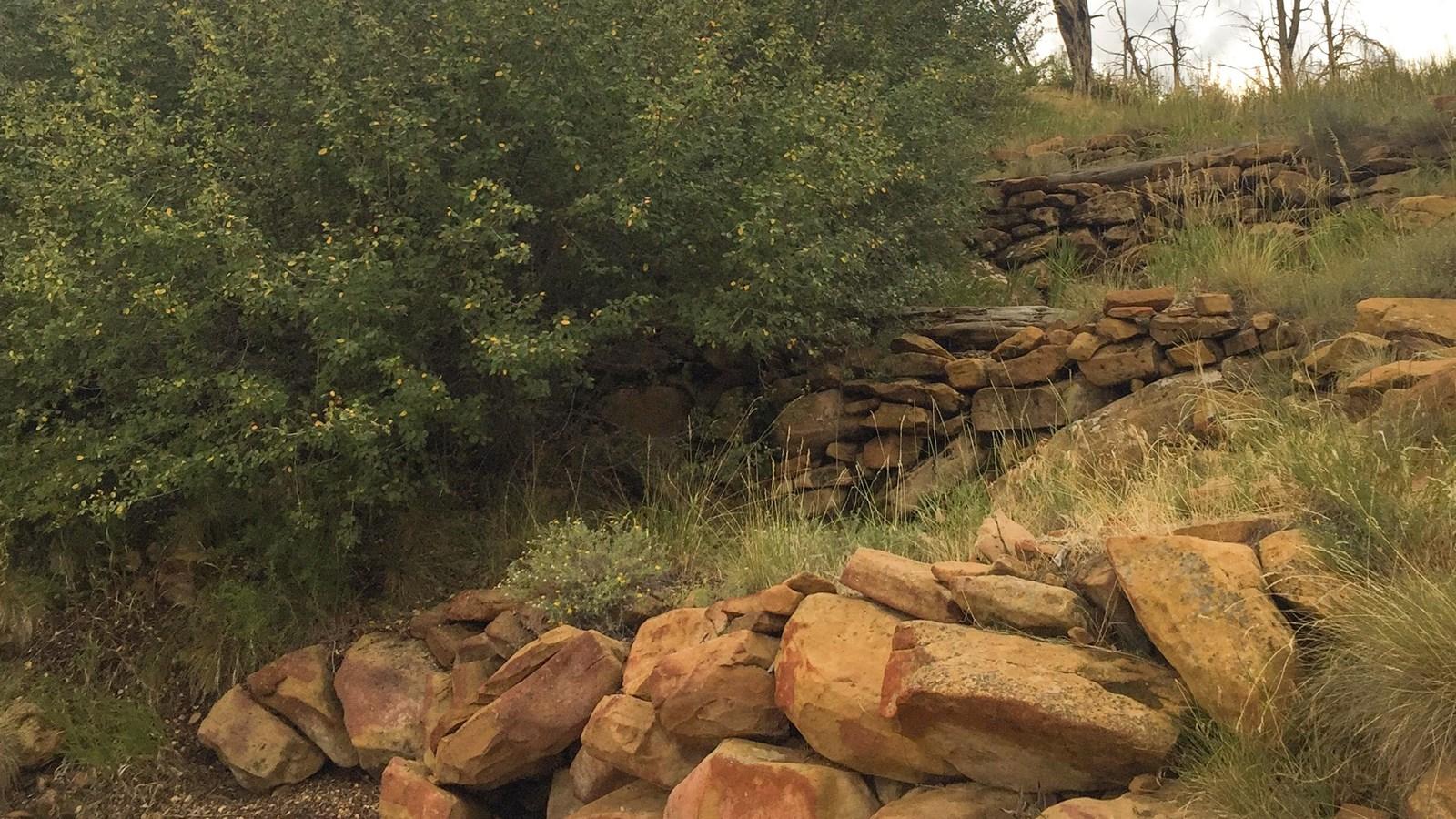 Stacked rocks and green bushes on a dry, grassy hillside.