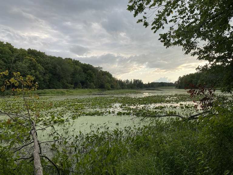 Morrison Lake: Wanderungen und Rundwege | komoot