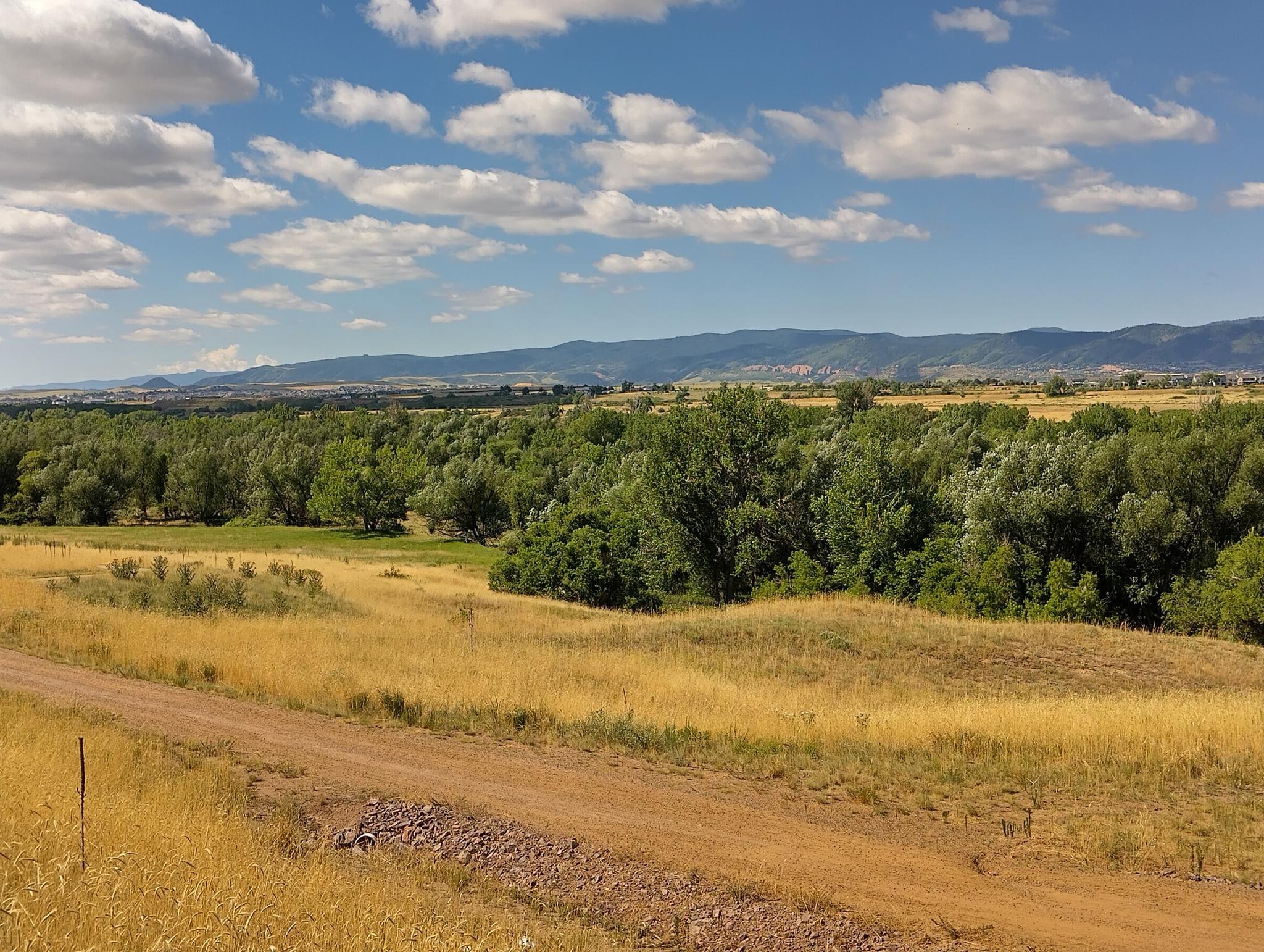 Dirt road through golden fields, green trees, and distant mountains under cloudy sky.