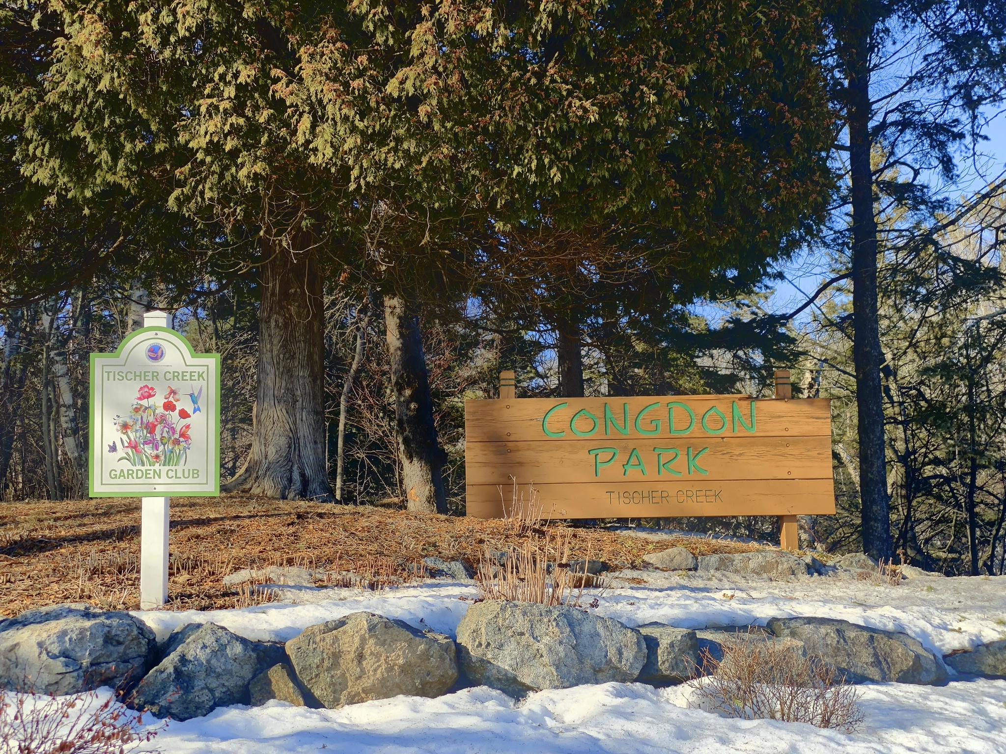 Two park signs on snowy ground, surrounded by evergreen trees, sunny.