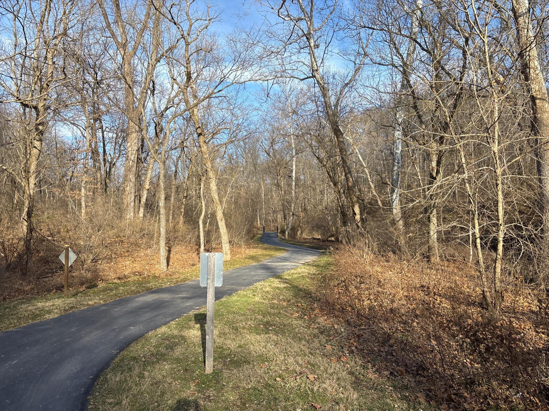 Paved path winding through a winter forest with bare trees under a blue sky.