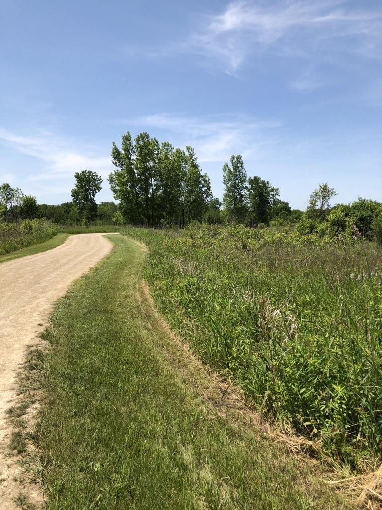 Dirt path curving through green grass and trees under a blue sky.