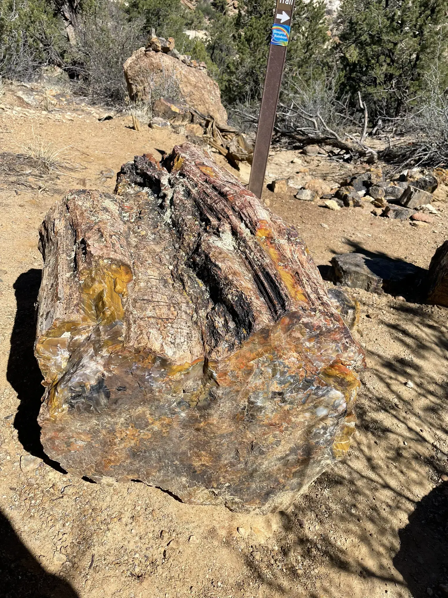 A large, colorful piece of petrified wood on dry ground with a trail marker.