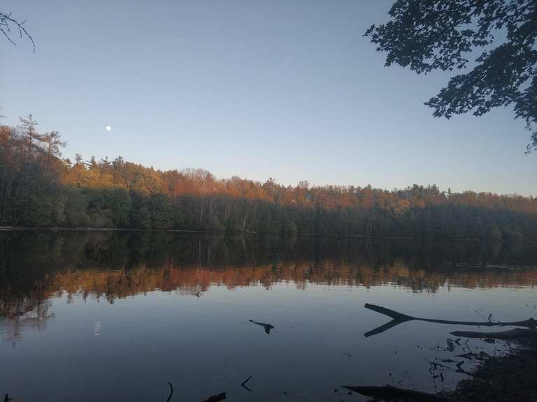 Bond Lake loop via Oak Ridges Trail — Oak Ridges Corridor Conservation ...