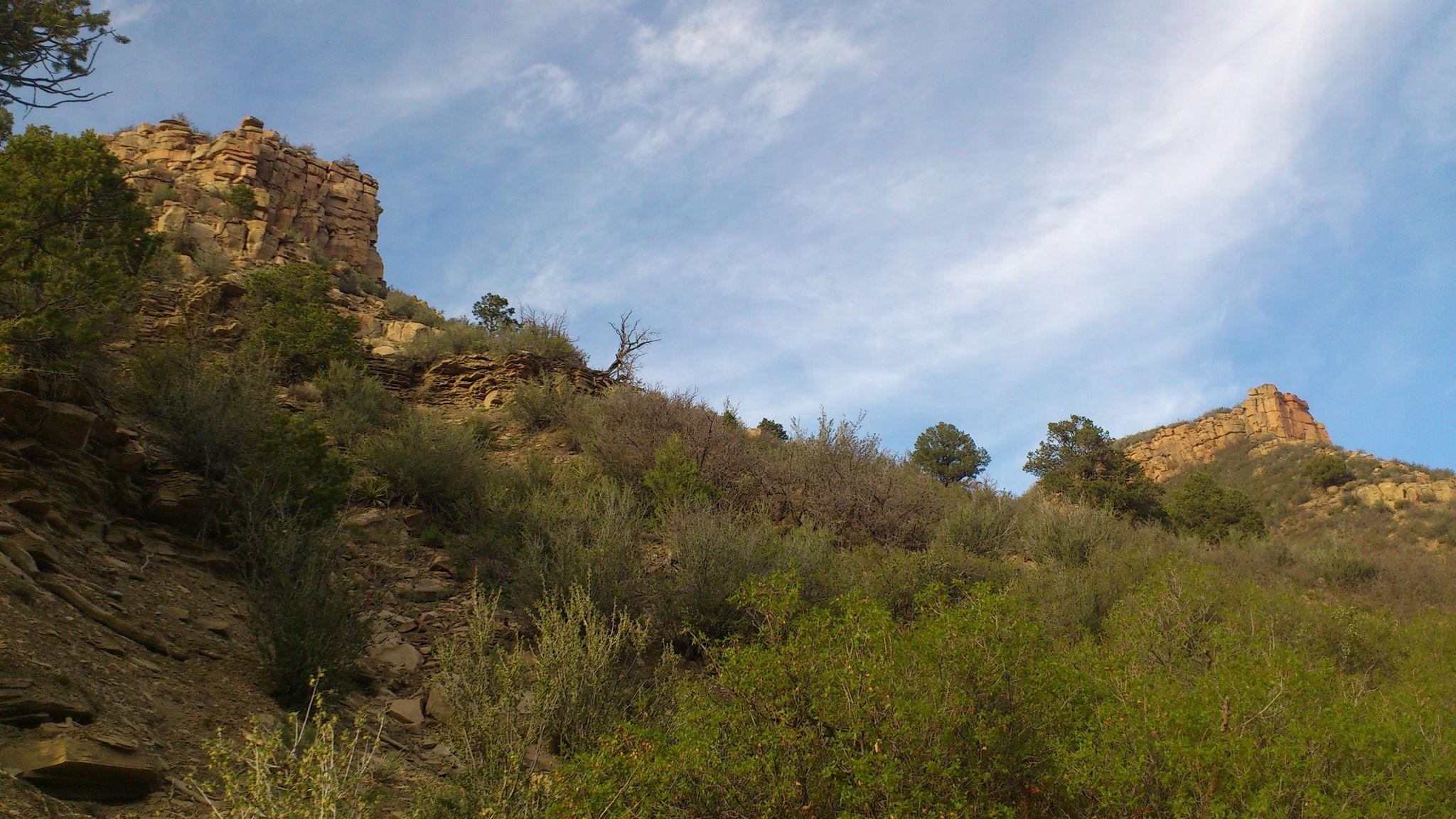 Steep, rugged rocky cliffs and scrubby hillside under a blue sky. - Twin Buttes Trail