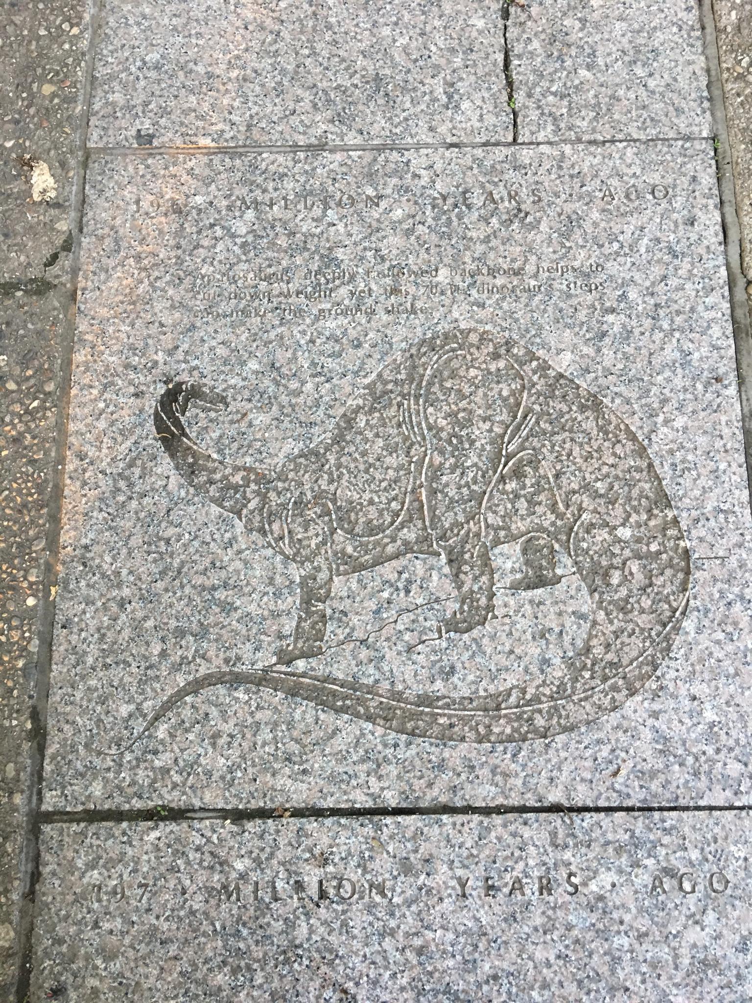 Engraved dinosaur image on a gray stone slab on the ground.
