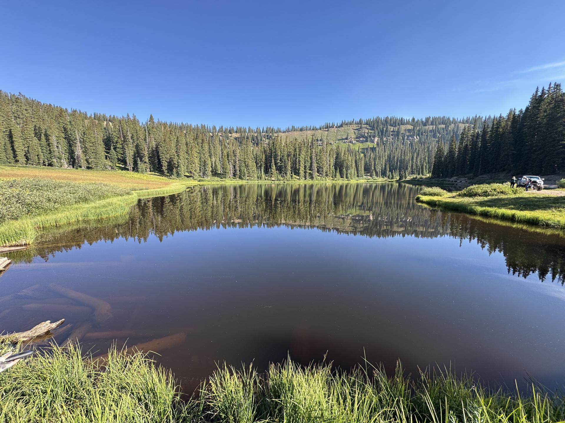 A calm lake reflects a clear blue sky, surrounded by green forest.