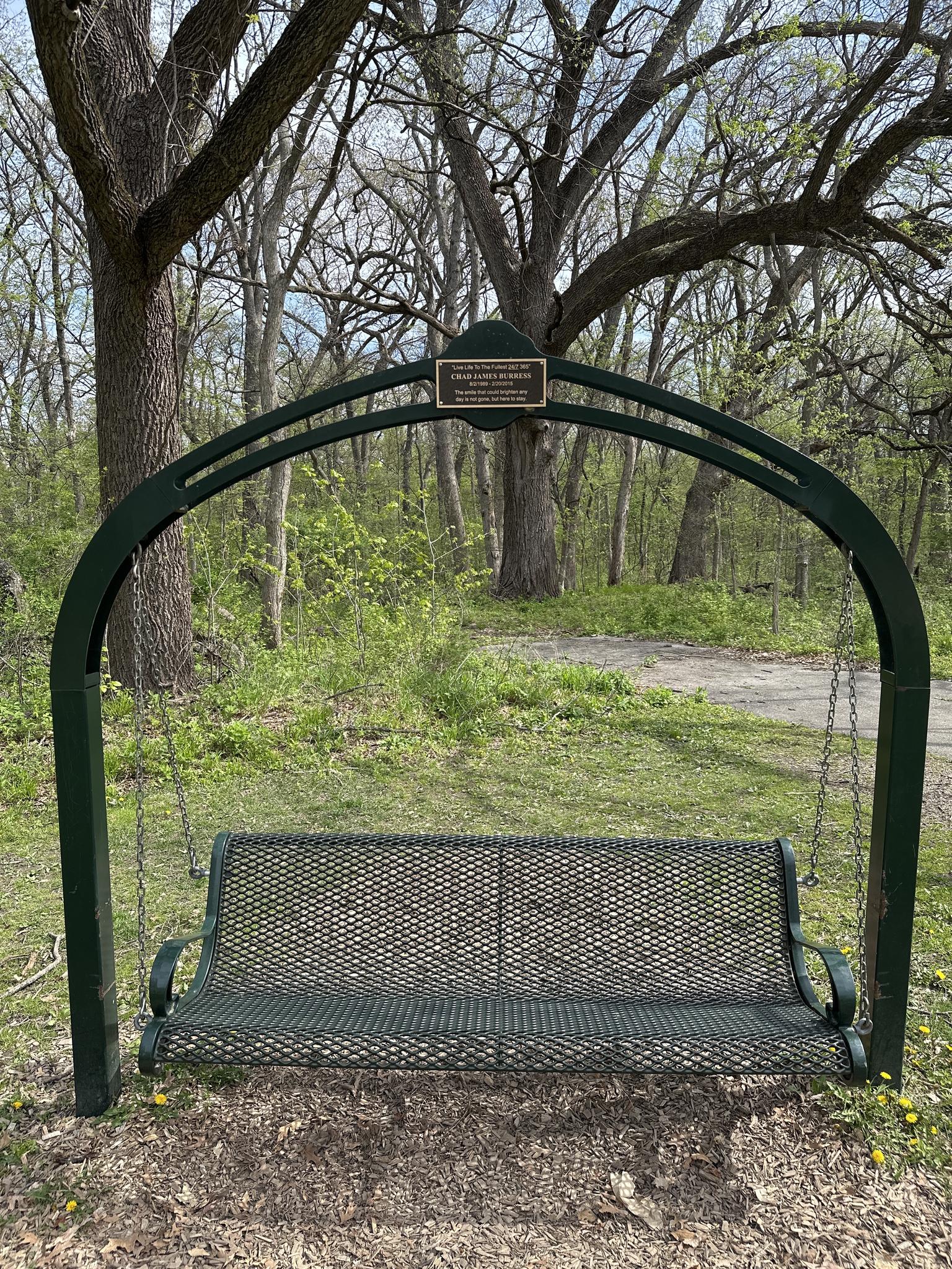 A dark green metal swing bench sits under large trees in a wooded area.