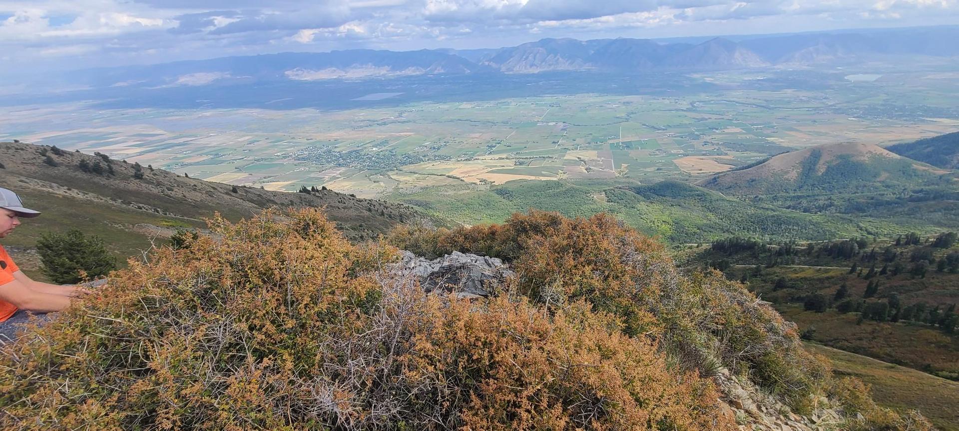 A person views a sprawling green valley from a brushy mountain peak.