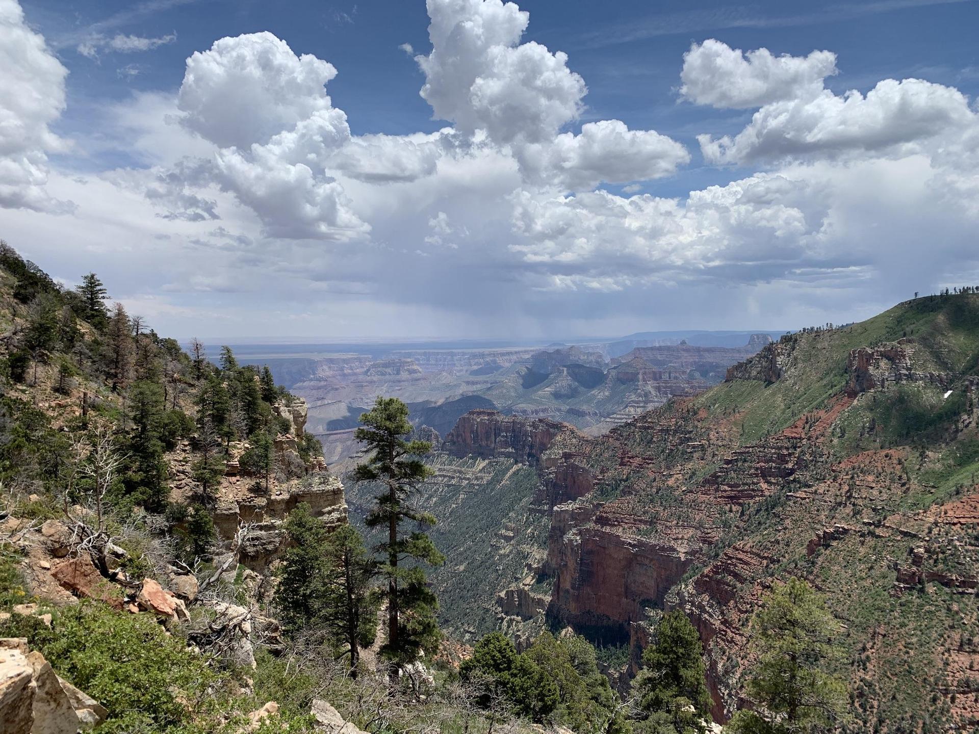 Expansive canyon vista with green trees and dramatic rock formations under clouds.