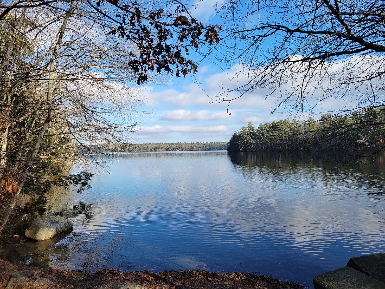 Wide lake framed by bare trees under a bright, cloudy sky.