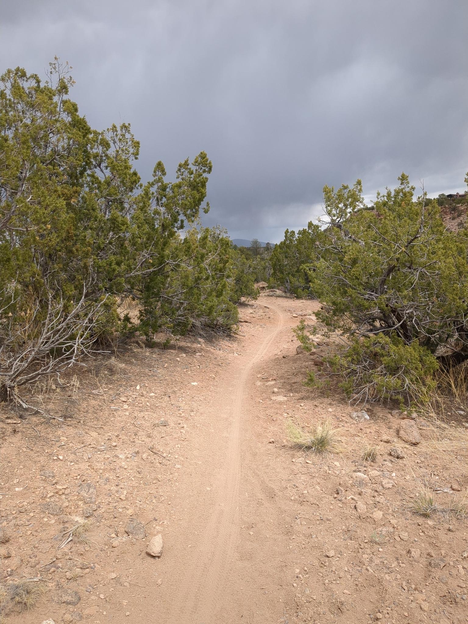 Winding dirt path through green bushes under a cloudy, overcast sky.