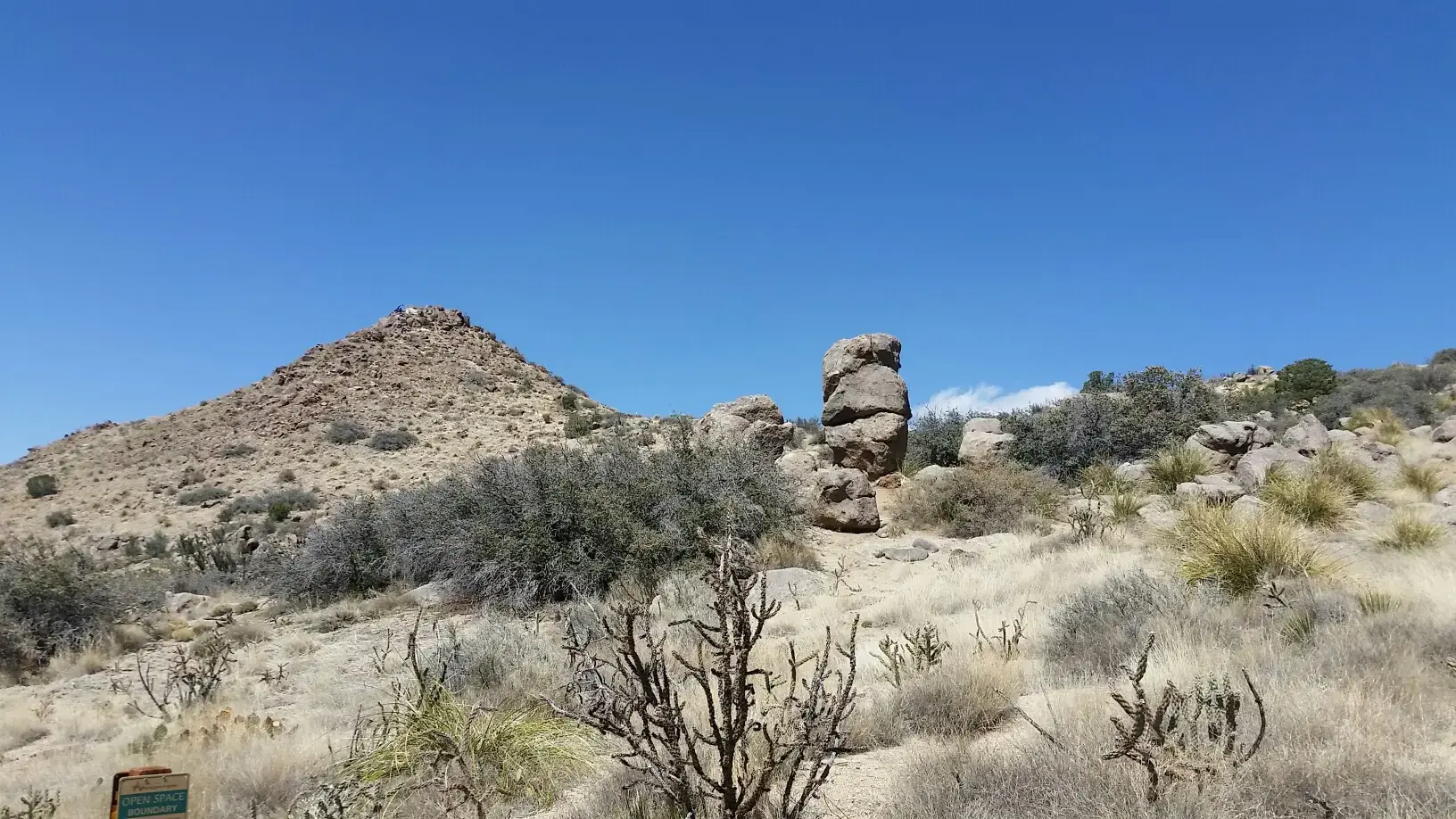 Desert landscape with unique rock formations and sparse vegetation under a clear blue sky.