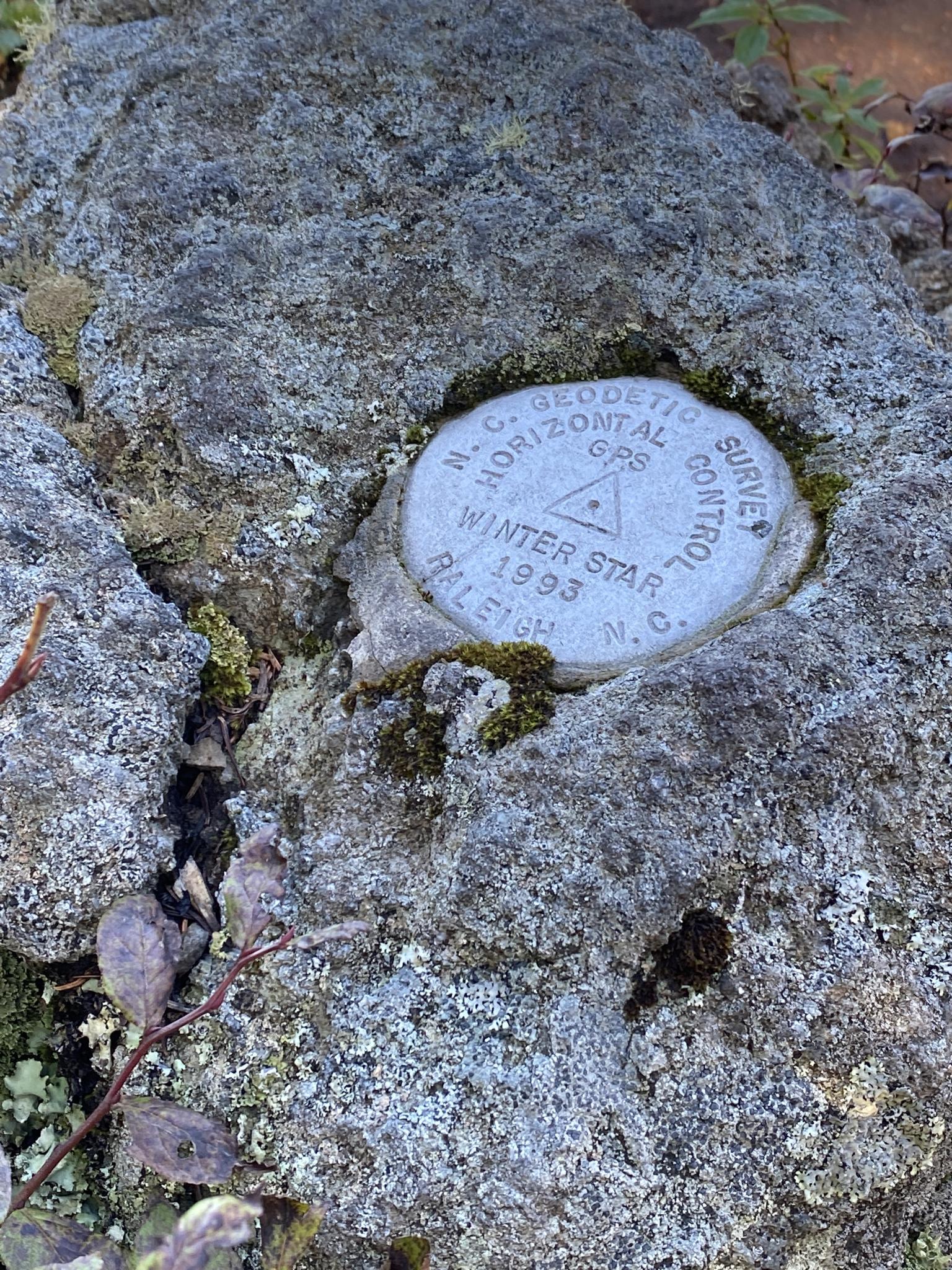 A metal survey marker is embedded in a mossy, grey rock.