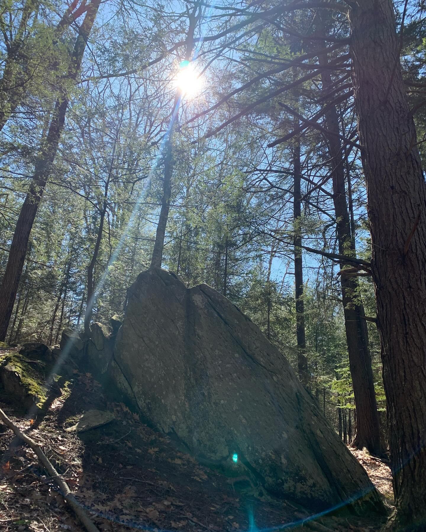 Large rock in a sun-drenched forest with bright lens flare through trees.