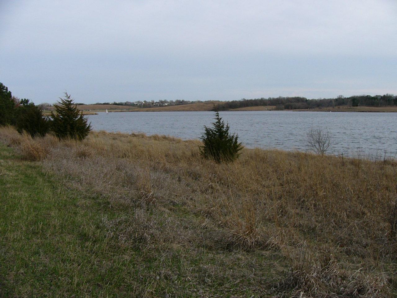 Overcast view of a lake with dry grass and scattered evergreen trees.
