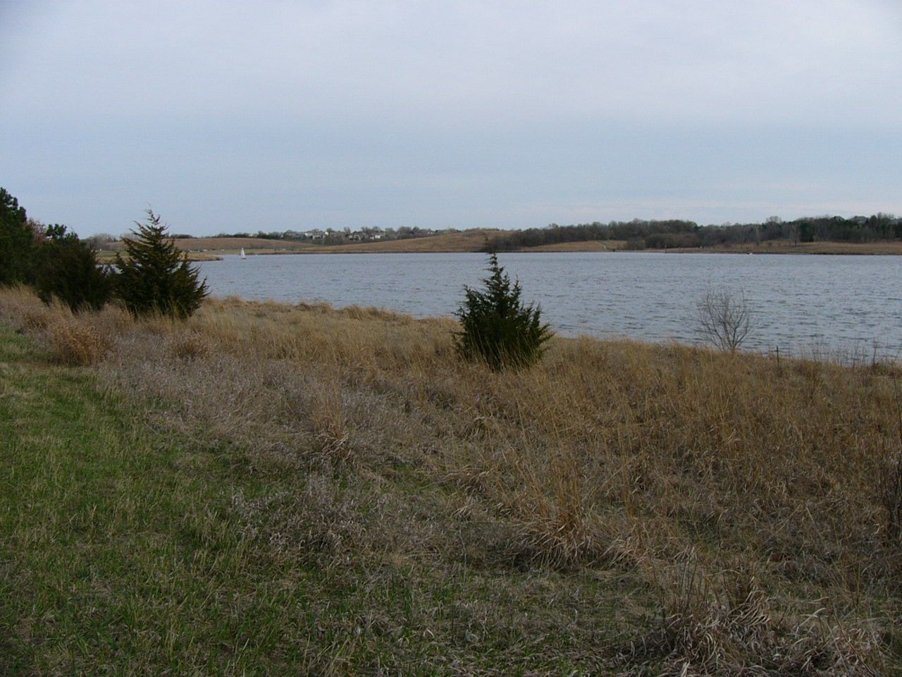 Overcast view of a lake with dry grass and scattered evergreen trees. - Zorinsky Lake Trail loop