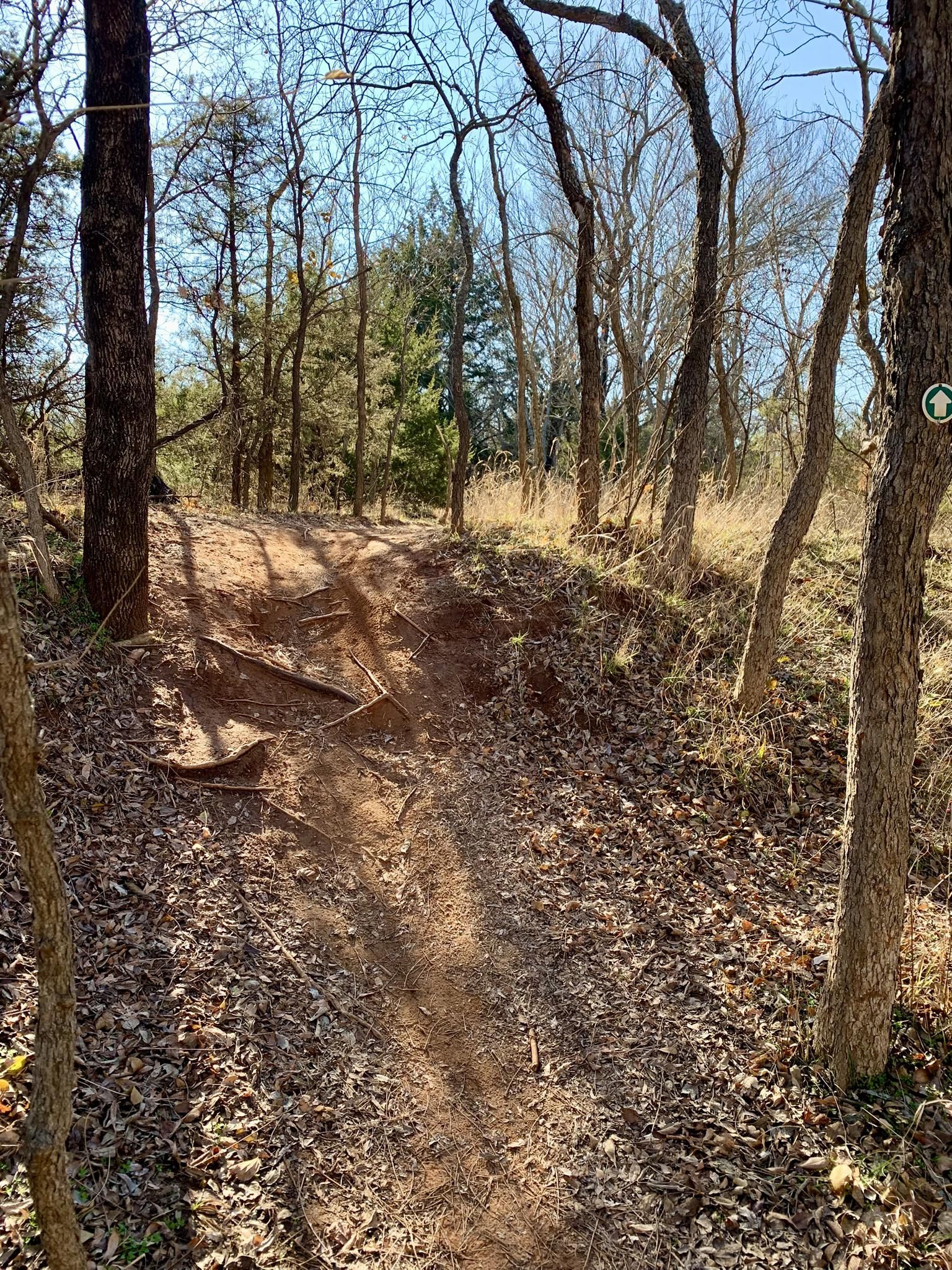 Uphill dirt trail through a sunny forest with bare trees. - Bluff Creek Park loop from Pat Murphy Park