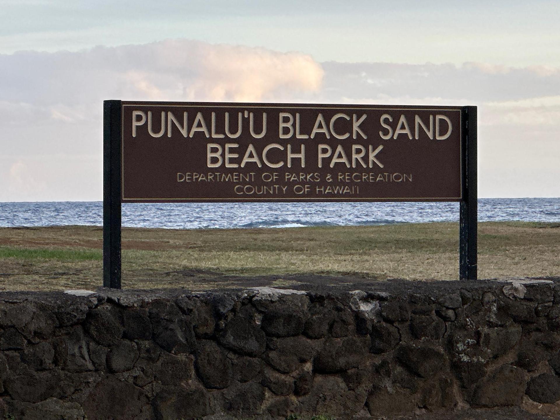 A brown park sign on a stone wall, with ocean and sky behind it.