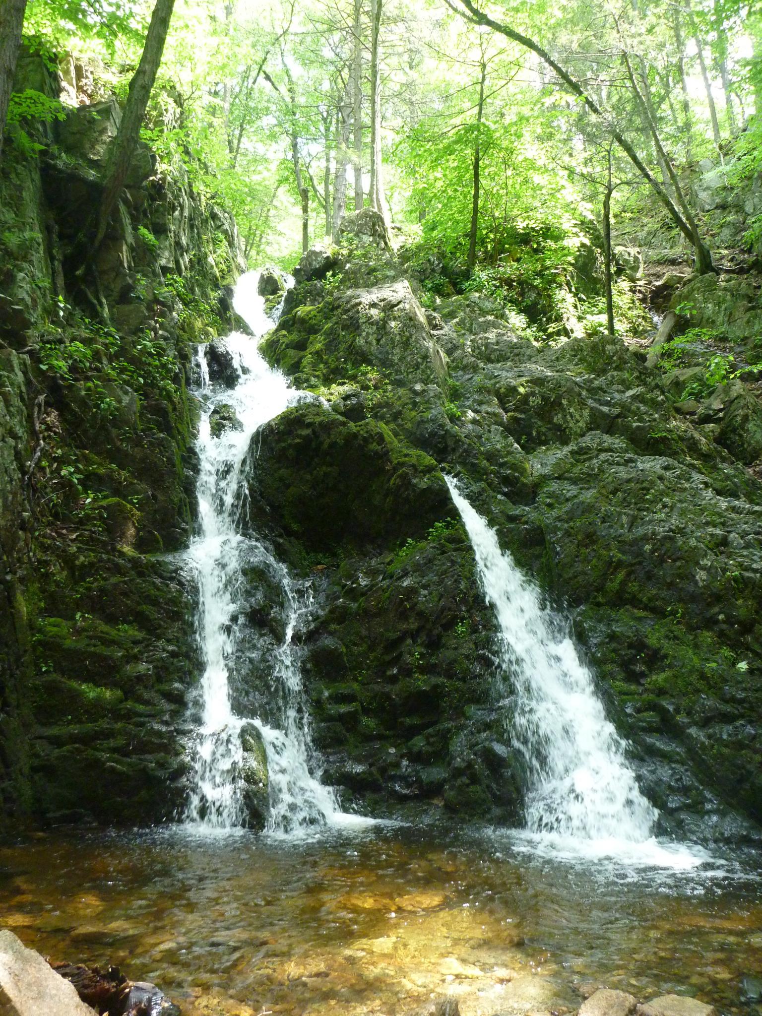 Sunlit waterfall cascades over mossy rocks into a clear pool in a green forest.