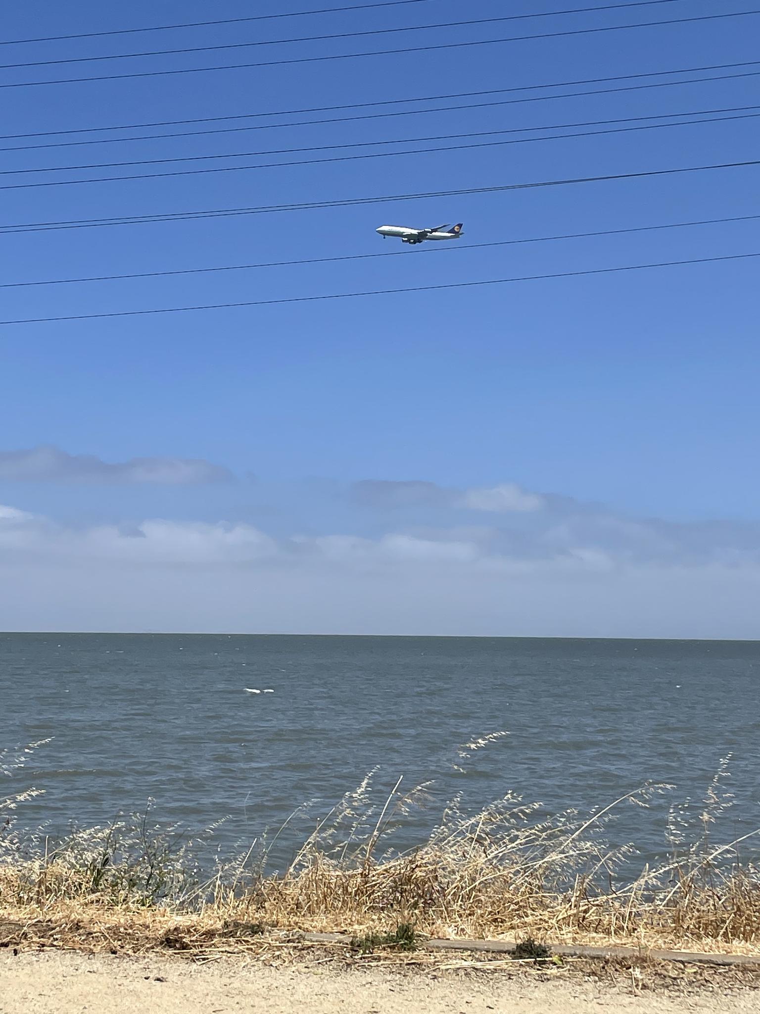 Airplane flying over a bay with power lines overhead on a sunny day.