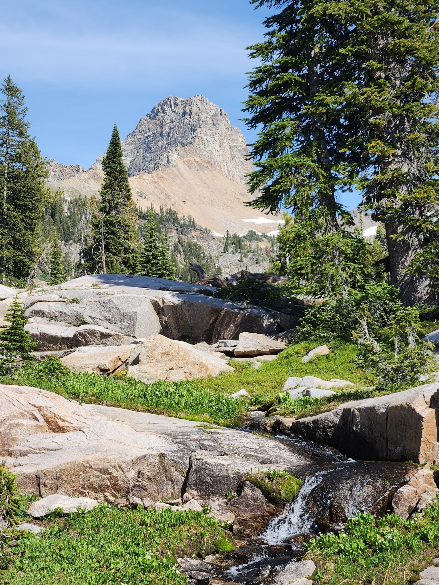 Sunny mountain landscape with a stream flowing over rocks and tall trees.