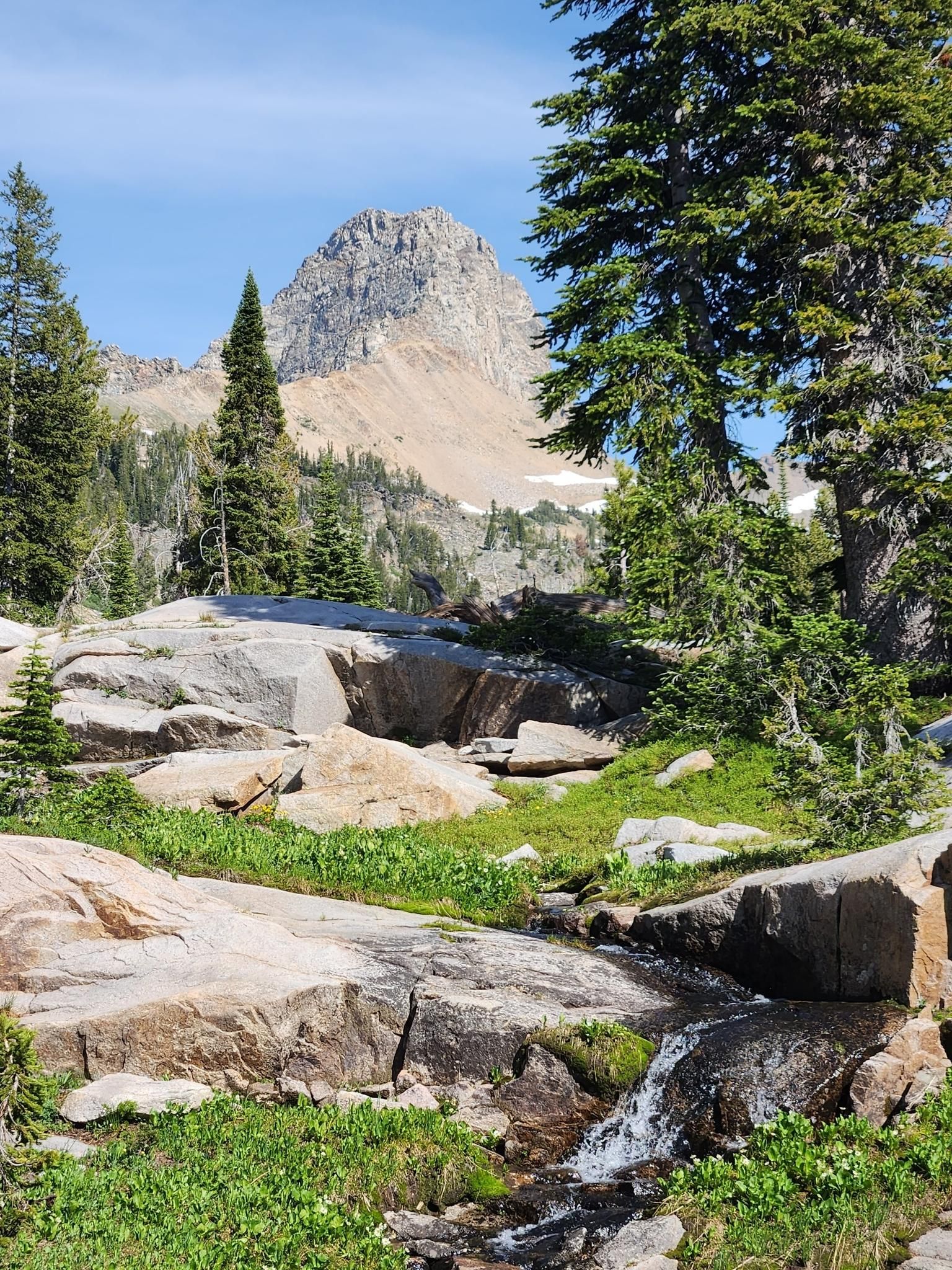 Sunny mountain landscape with a stream flowing over rocks and tall trees. - Alaska Basin Trail