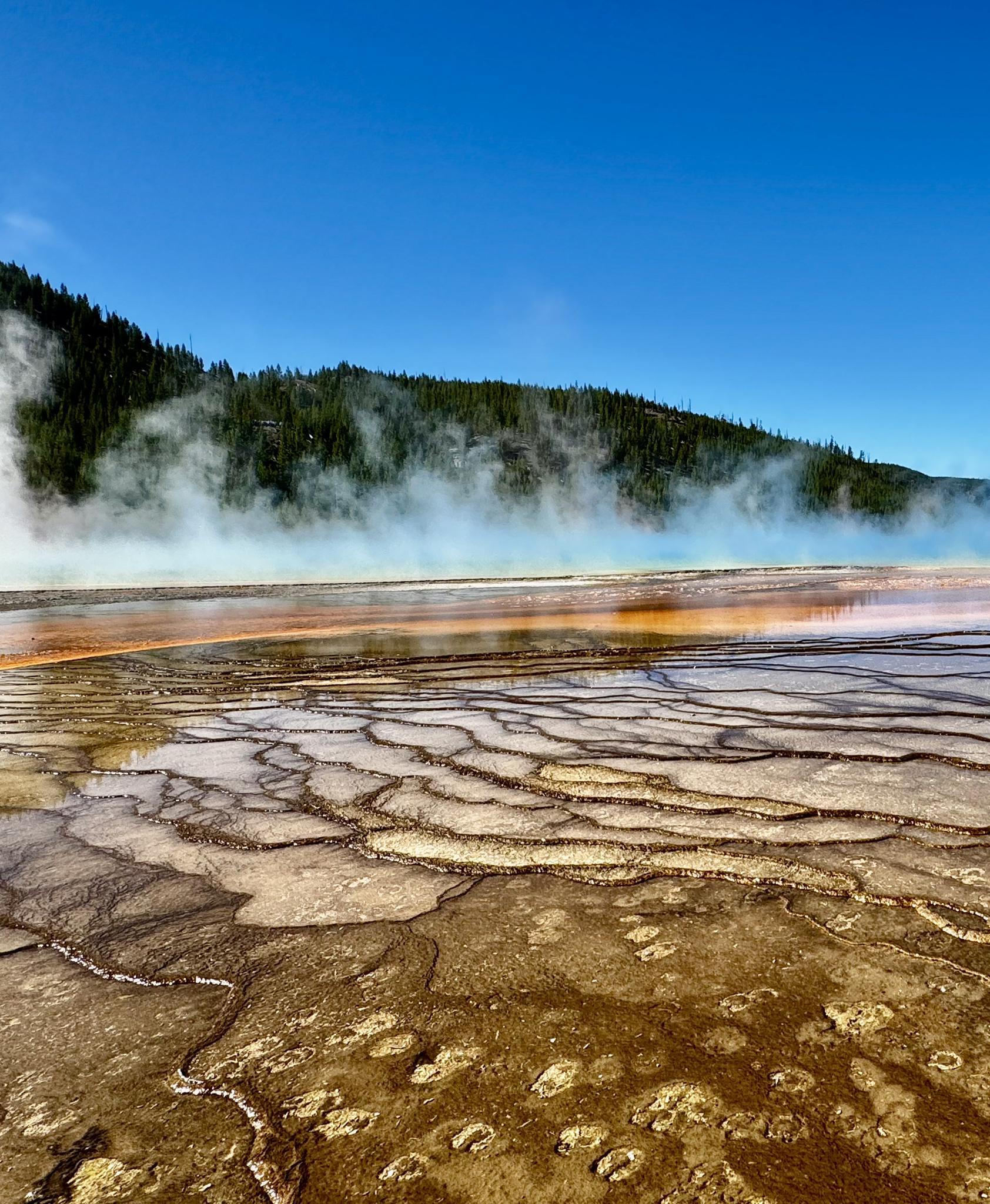 Steaming, colorful hot spring with intricate mineral patterns under a clear blue sky.