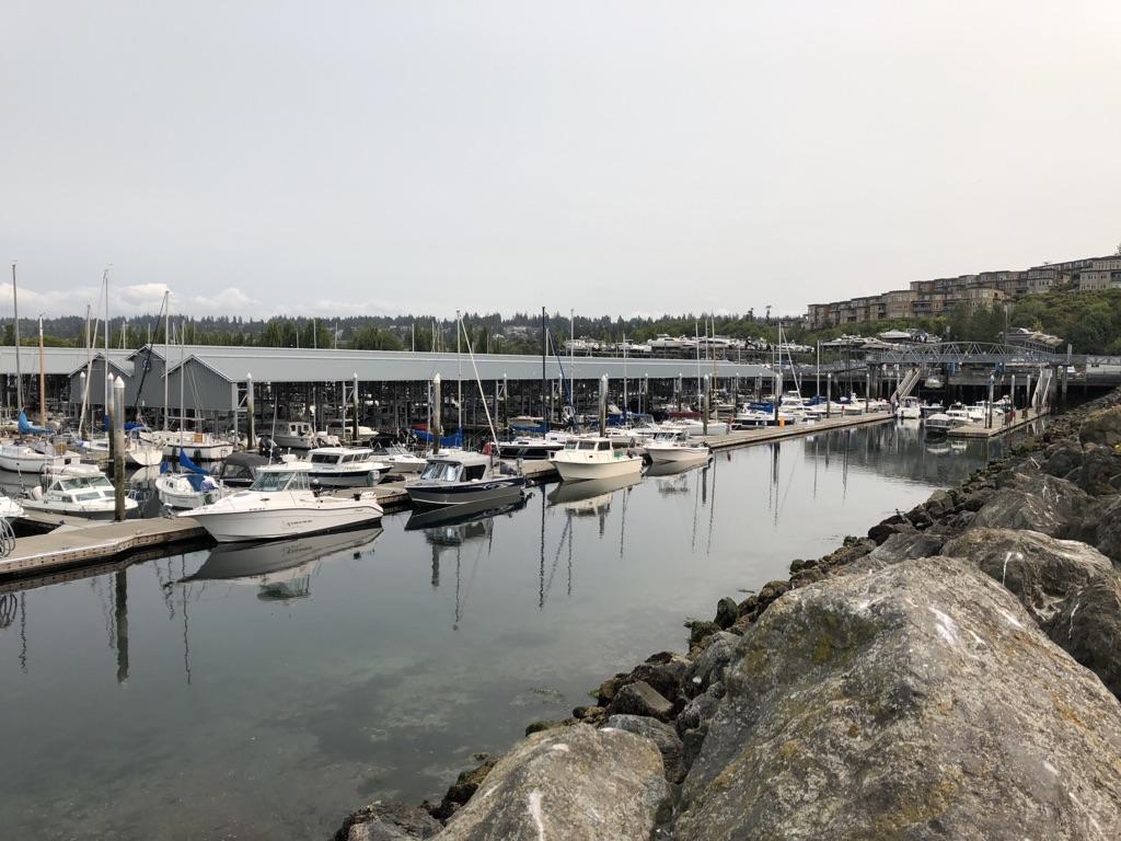 Numerous boats docked in a calm marina under an overcast sky.