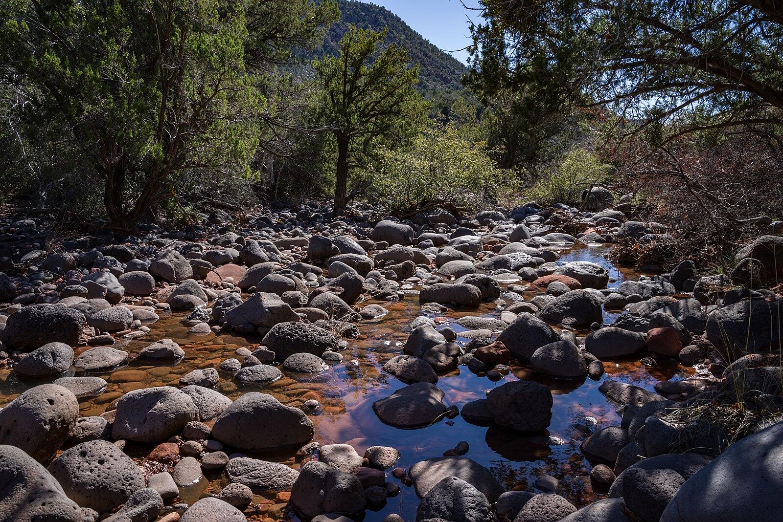 A shallow, rocky stream bed winding through a sun-dappled forest.
