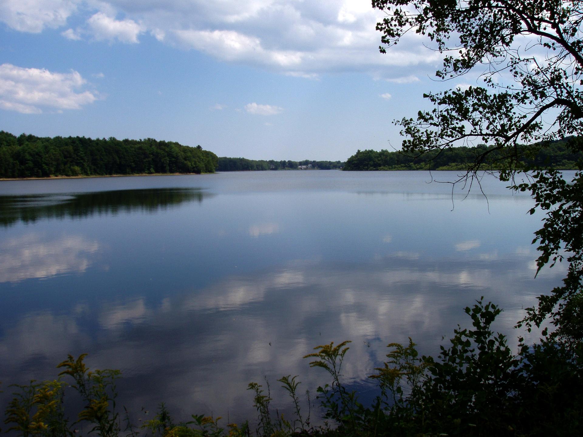 Calm lake reflecting blue sky and clouds, surrounded by green trees.