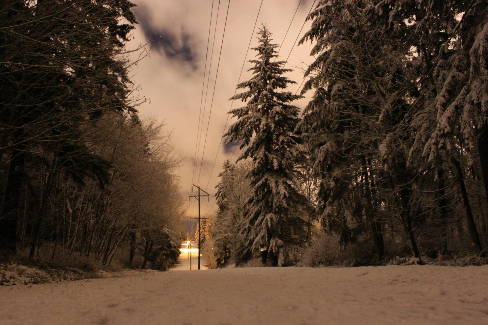 Snow-covered evergreen forest at night with power lines under an orange sky.