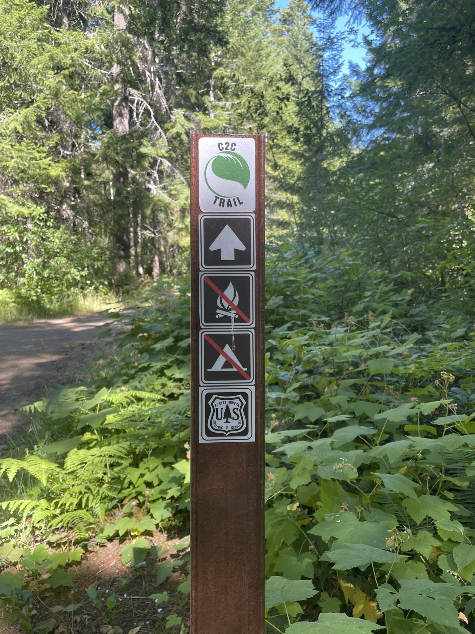 Brown trail sign with symbols in a sunlit green forest.