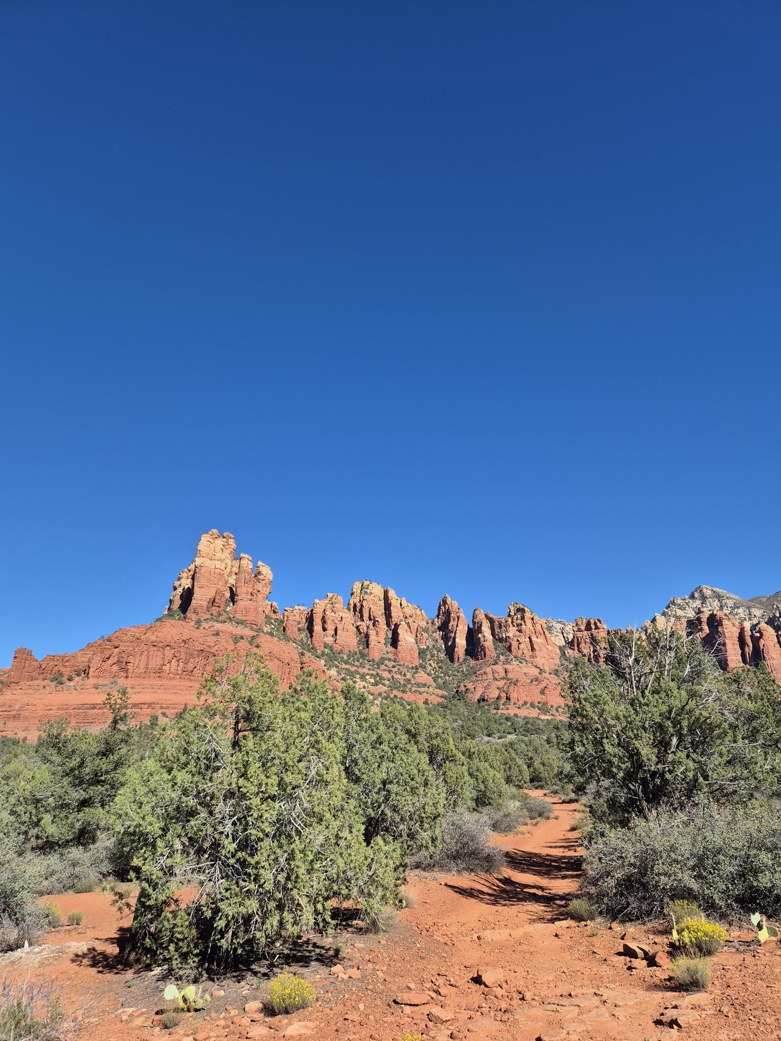 Dirt path through green shrubs towards distant red rock formations, clear sky.