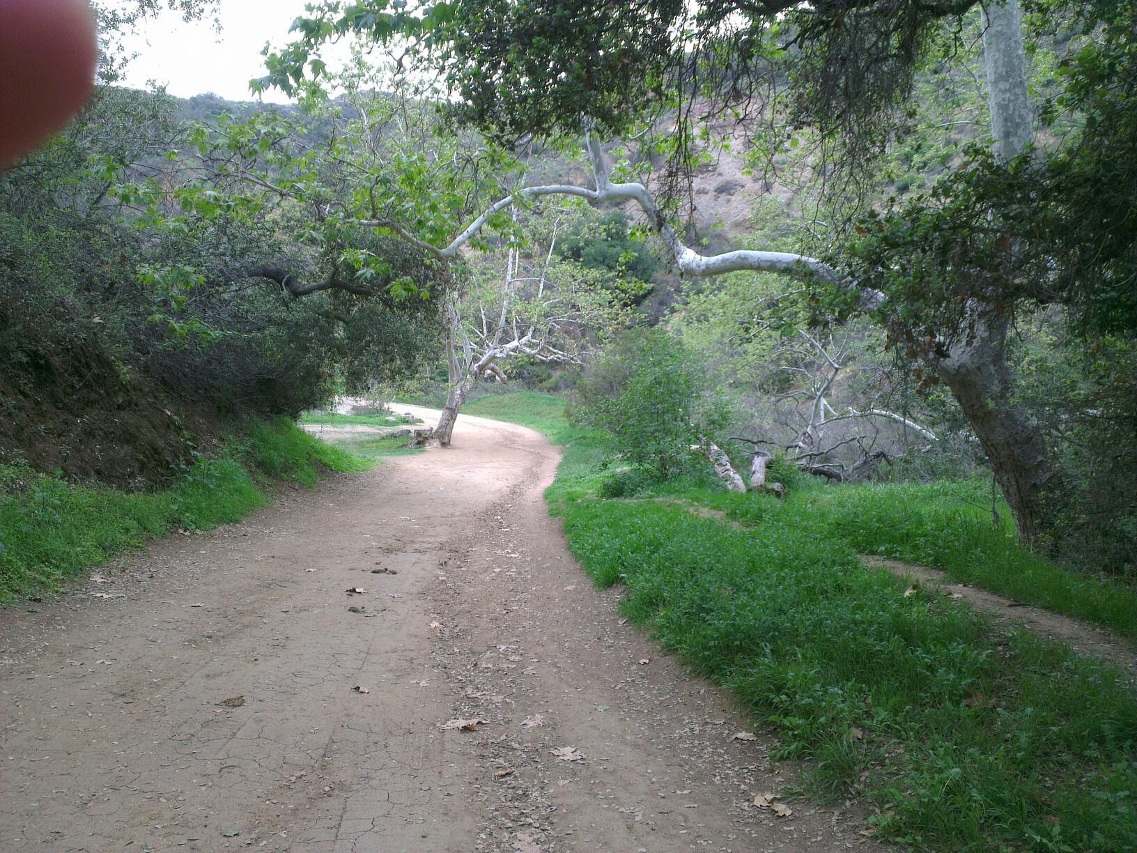 A winding dirt path through a green, wooded area on an overcast day.