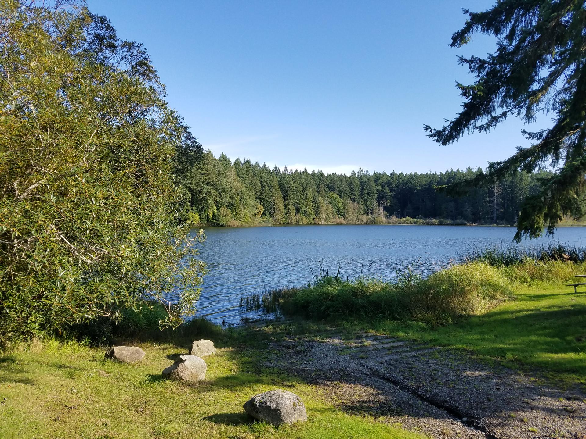 Sunny day over a calm lake surrounded by dense green forest.