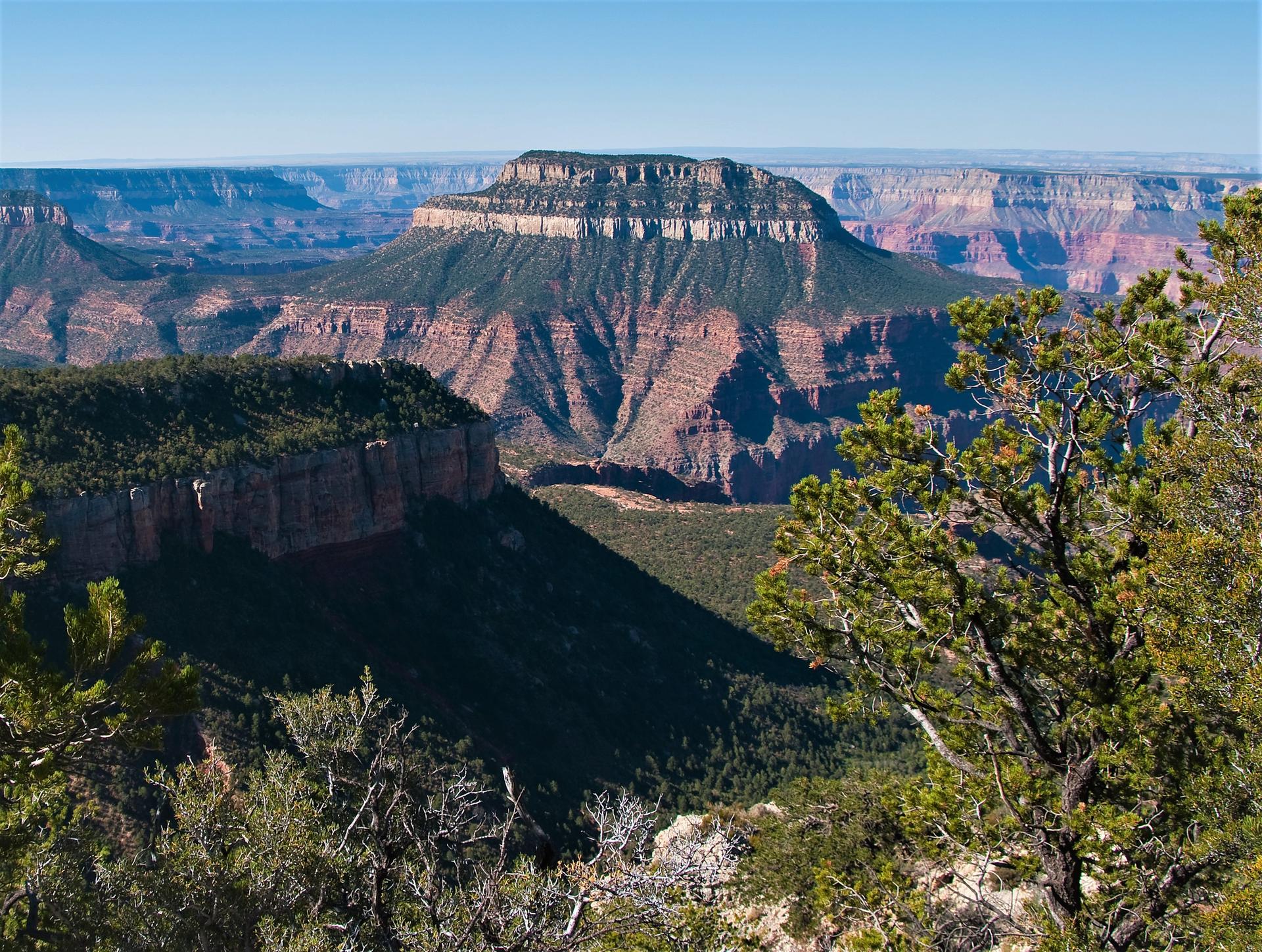 Vast canyon landscape with layered rock formations under bright daylight, foreground trees.